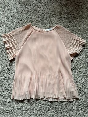 Blush Pleated Flutter Sleeve Blouse